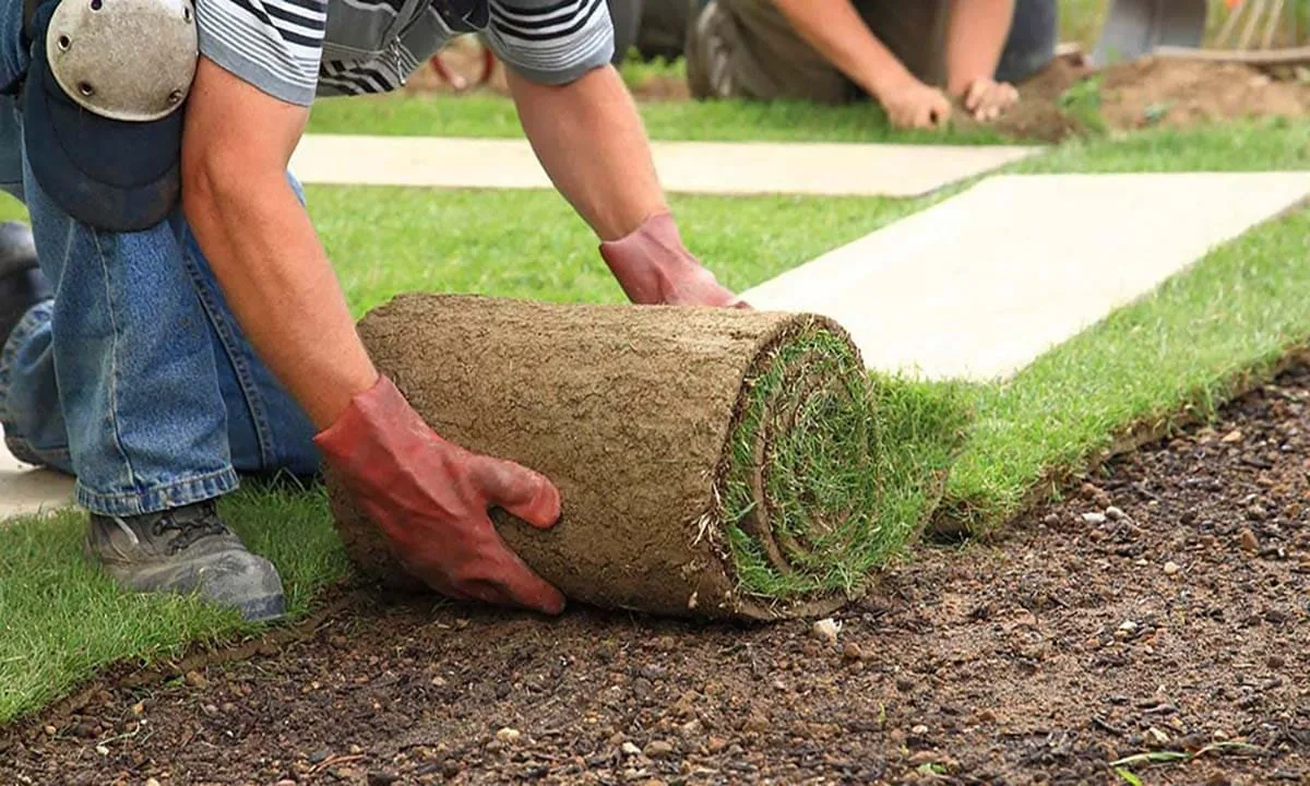 Jardín diseñado con especies adaptadas al clima de Tenerife