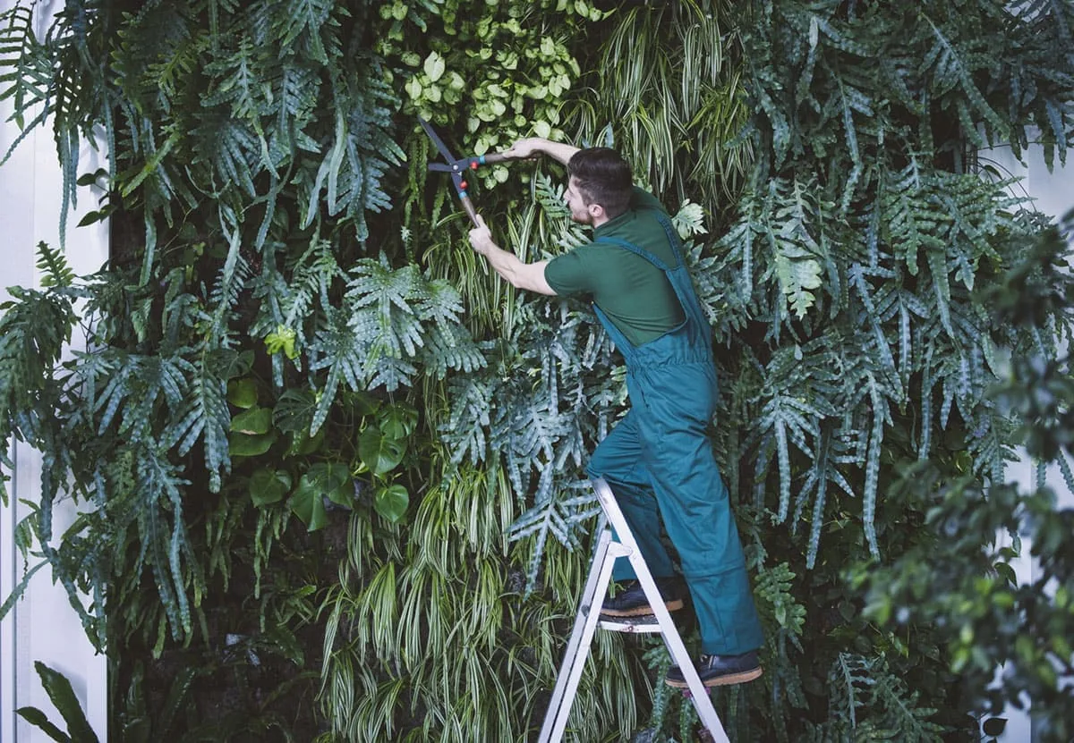 Jardín xerófilo con especies resistentes al viento en Lanzarote