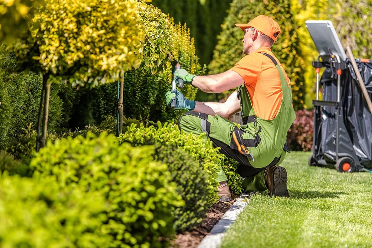 Jardinero realizando el mantenimiento de un jardín en Tenerife