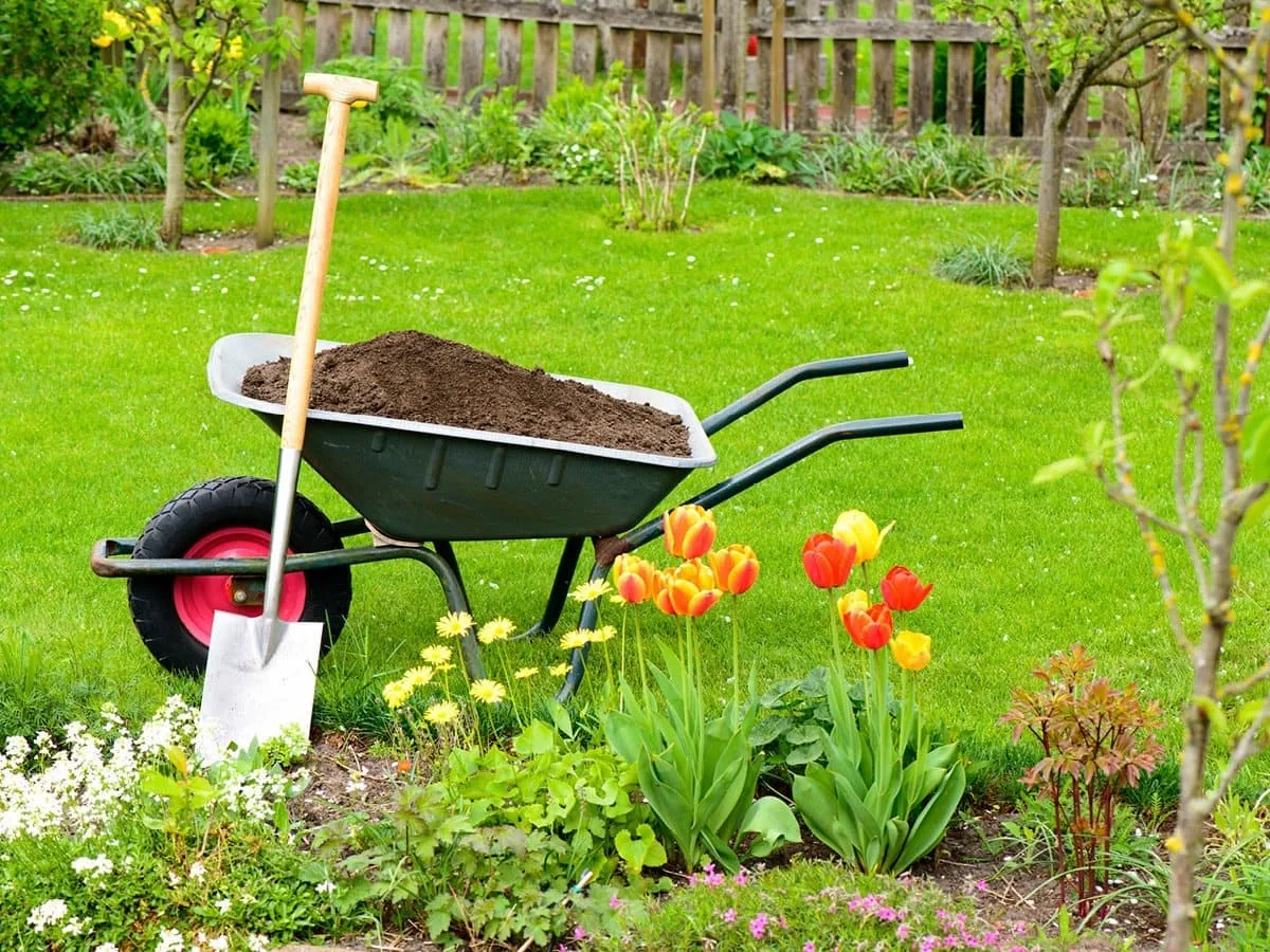 Instalación de riego por goteo en un jardín de Las Palmas