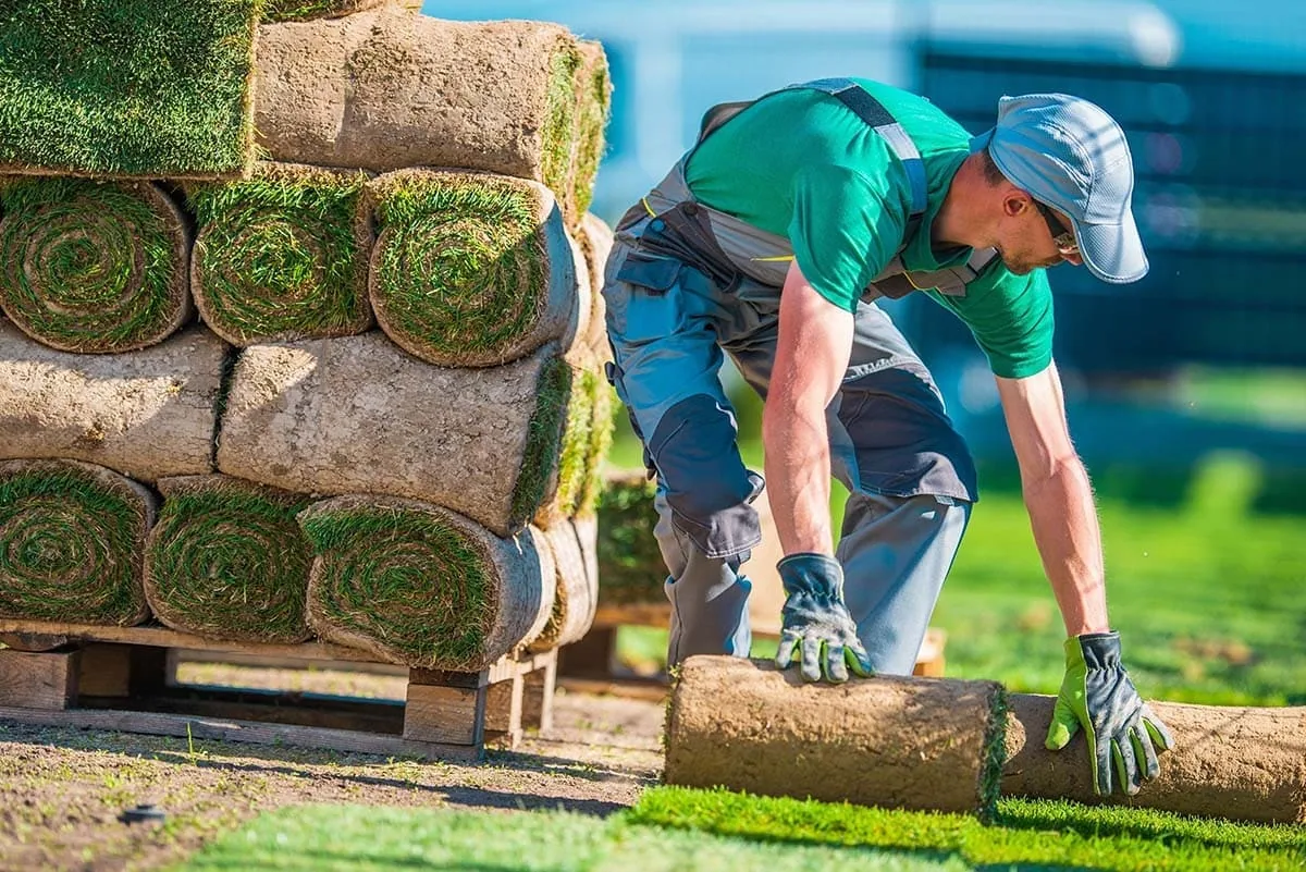 Mantenimiento de zonas verdes comunitarias en el sur de Gran Canaria