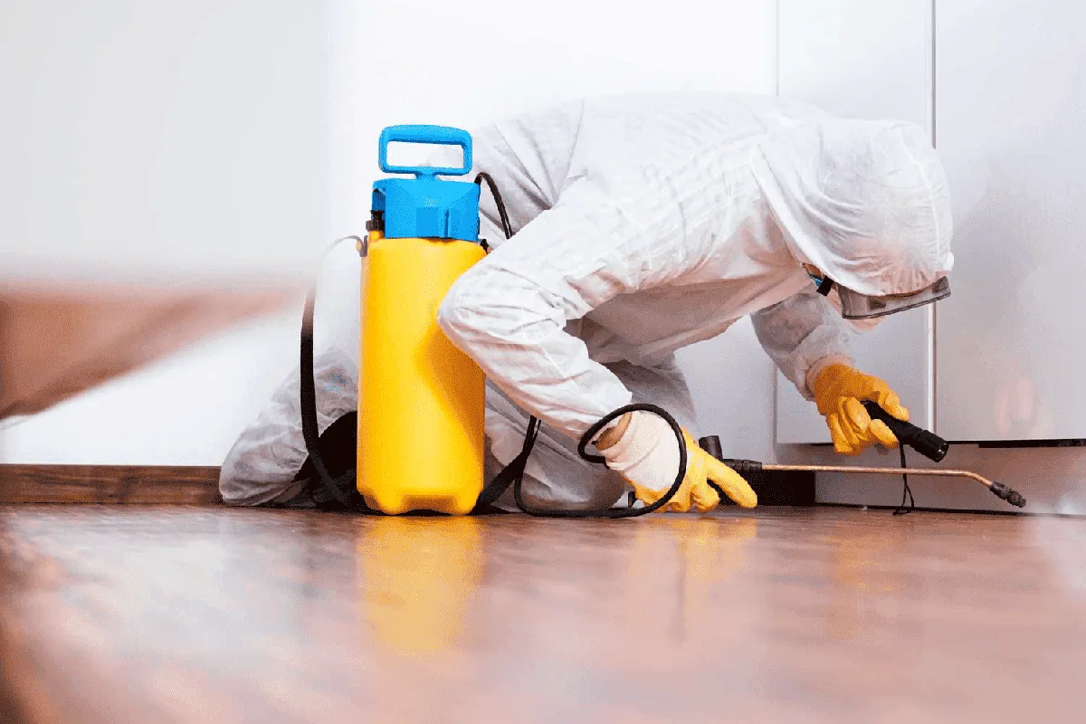 Aplicador arrodillado con pulverizador amarillo tratando el zócalo de un mueble de cocina en un piso de Sevilla