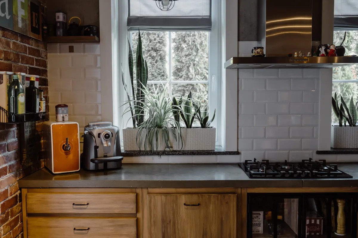 Cocina actual con plantas, fogones de gas y una cafetera