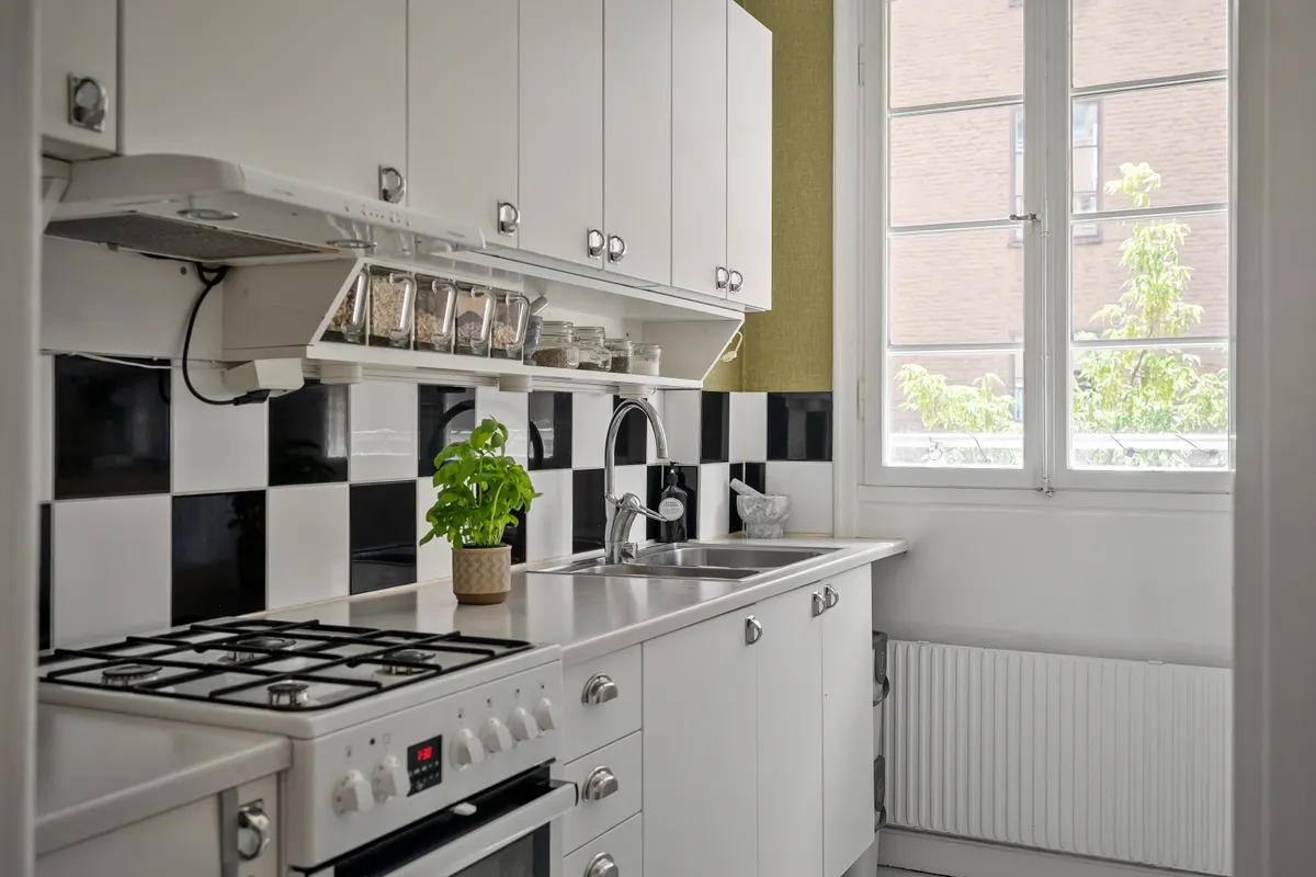 Cocina blanca con azulejos negros, fogones y una llamativa planta en maceta