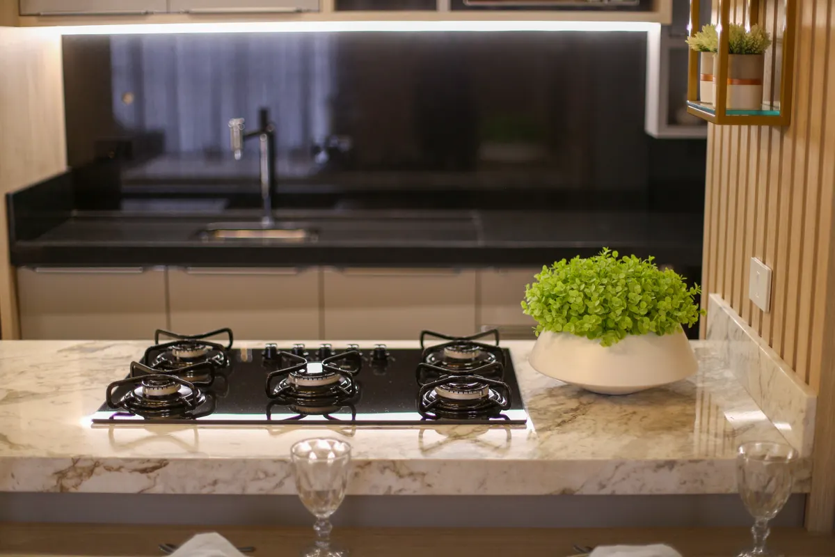 Cocina con fogones de gas, encimera de mármol y plantas de interior