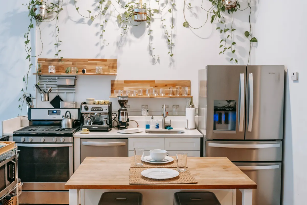 Cocina contemporánea con electrodomésticos de acero inoxidable y plantas colgantes