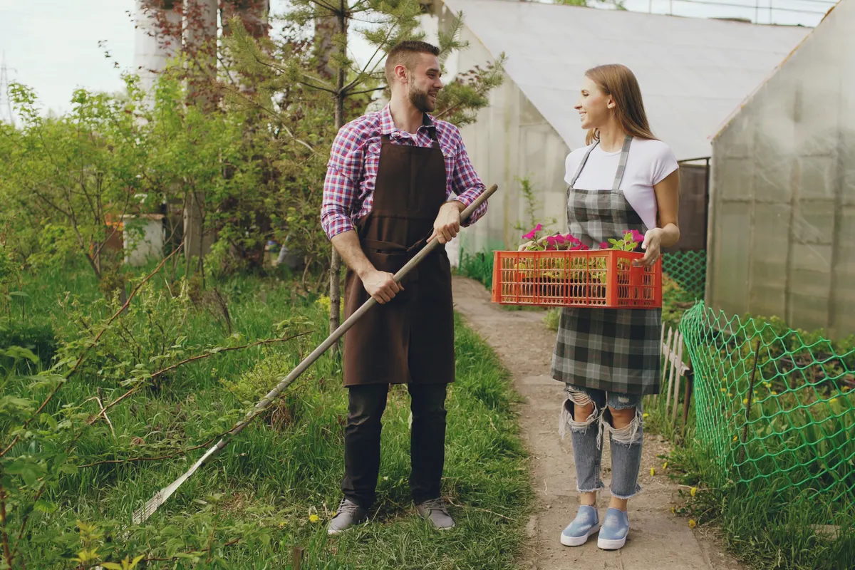 Dos jardineros jóvenes repartiéndose tareas junto a un invernadero