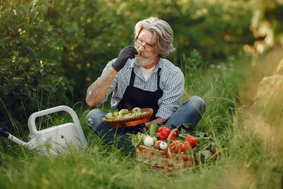 Jardinero mayor con verduras y frutas recién recogidas al aire libre