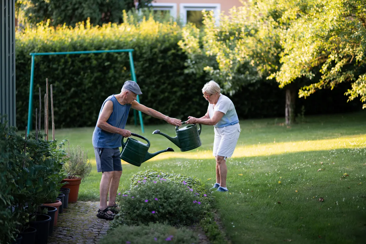 Pareja de personas mayores regando plantas en el jardín en un día soleado