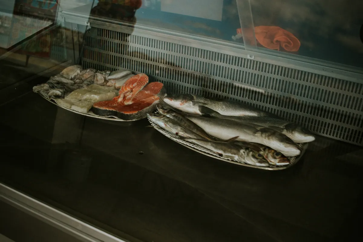 Pescado y marisco fresco expuestos en una vitrina refrigerada