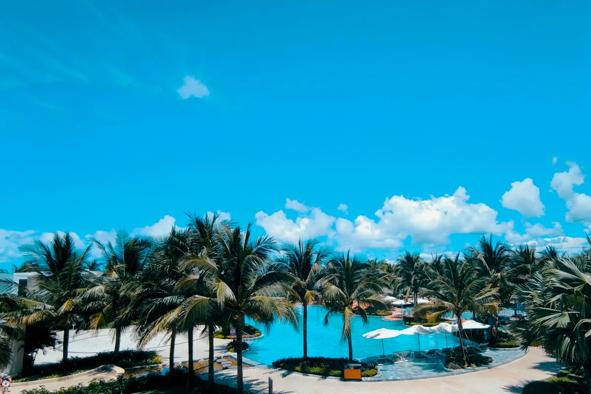 Piscina amplia rodeada de palmeras bajo un cielo azul intenso