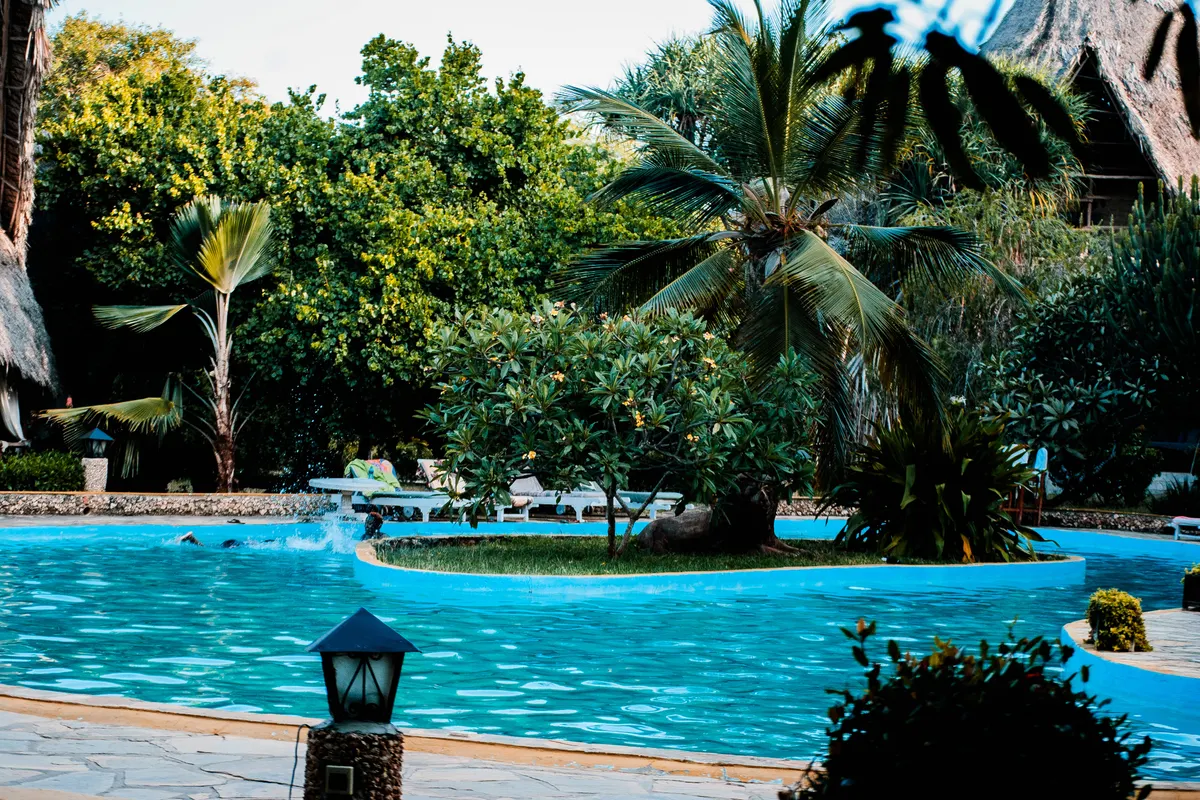 Piscina rodeada de palmeras y vegetación en un complejo tropical