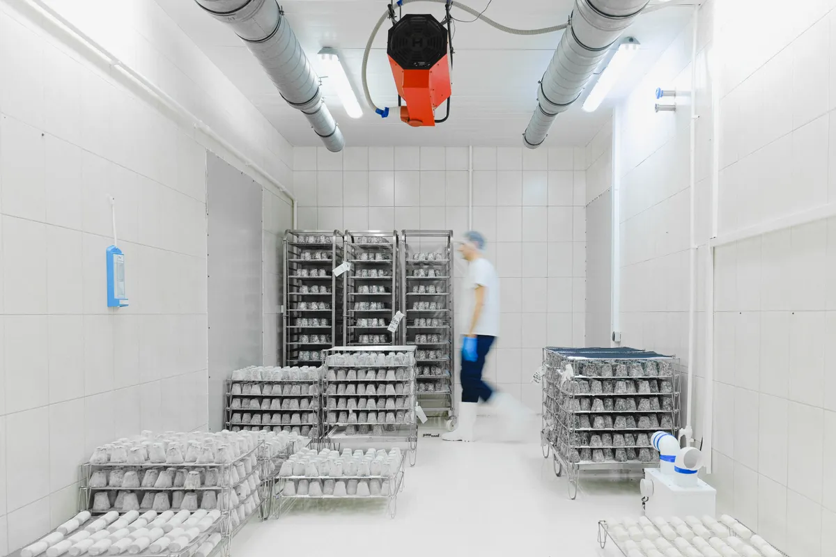 Trabajador desenfocado en movimiento dentro de un almacén frigorífico con estanterías de productos perecederos