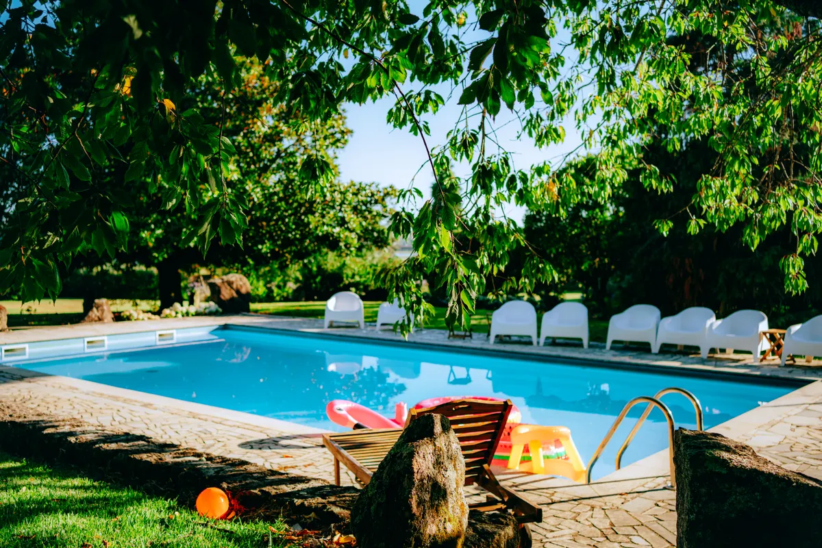 Zona de piscina rodeada de vegetación frondosa en un entorno tropical
